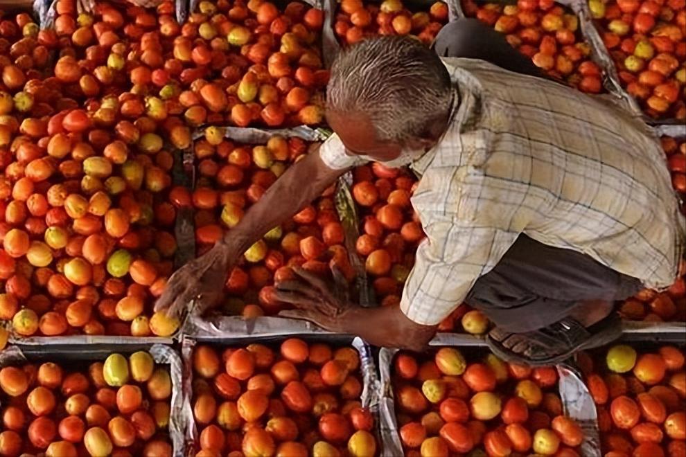 2.8万亿印度卢比变废纸！和印度做生意，俄罗斯又被坑
