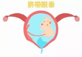 惊心动魄的480秒