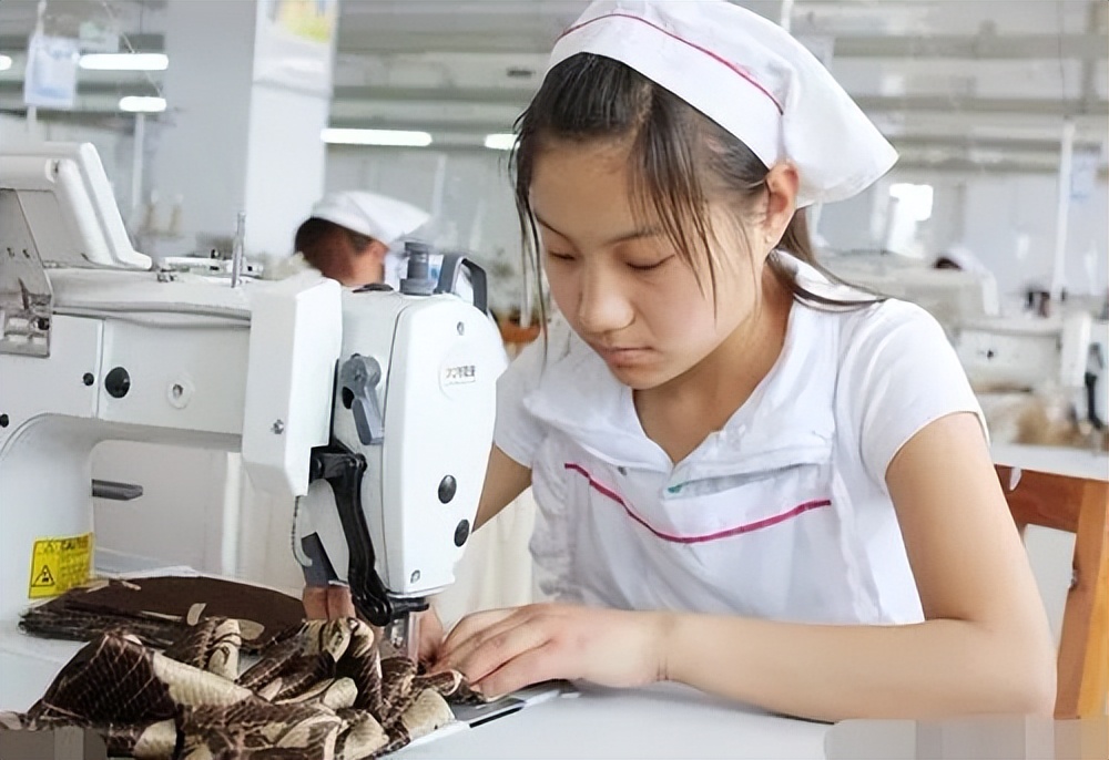 外甥在我家住十年,外甥在我家住了十年