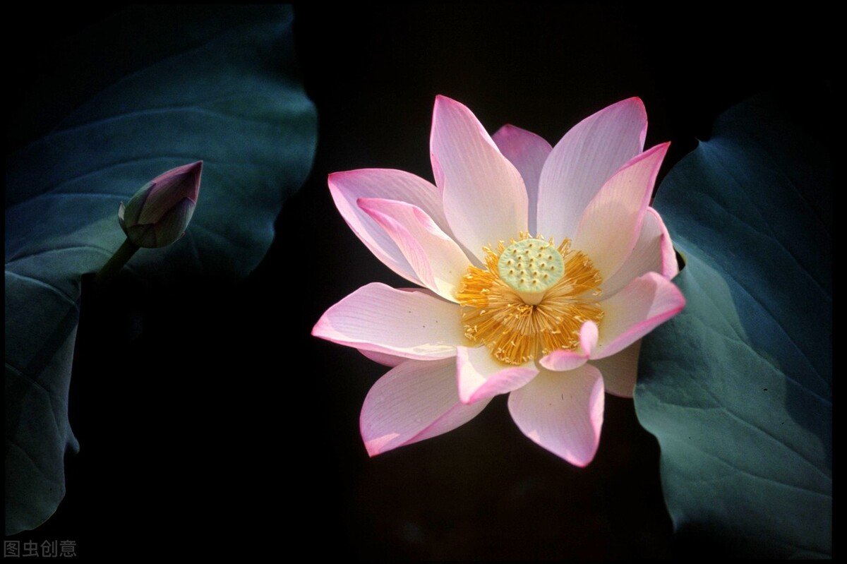 借东西三不借正确方法,借东西三不借是什么原因