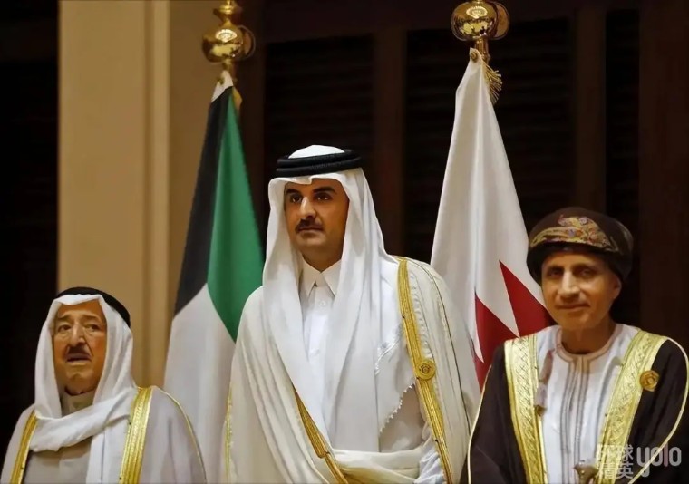 卡塔尔新任埃米尔塔米姆,卡塔尔埃米尔塔米姆资料