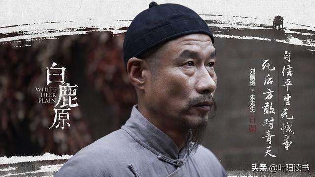 白鹿原冷先生怎么那么多钱,白鹿原冷先生经典语录