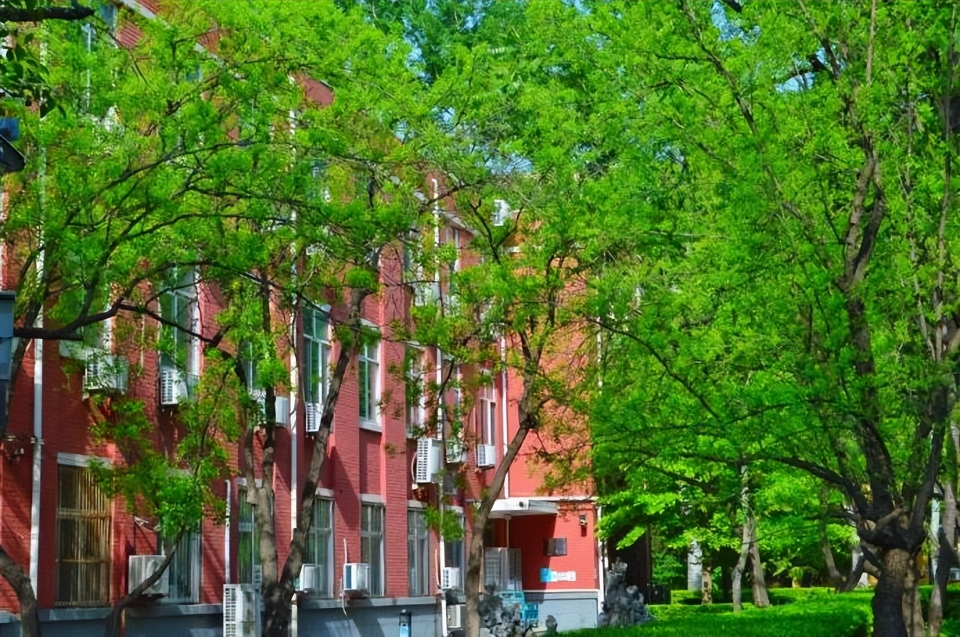 学校可以开设哪些小语种,哪些大学招收小语种