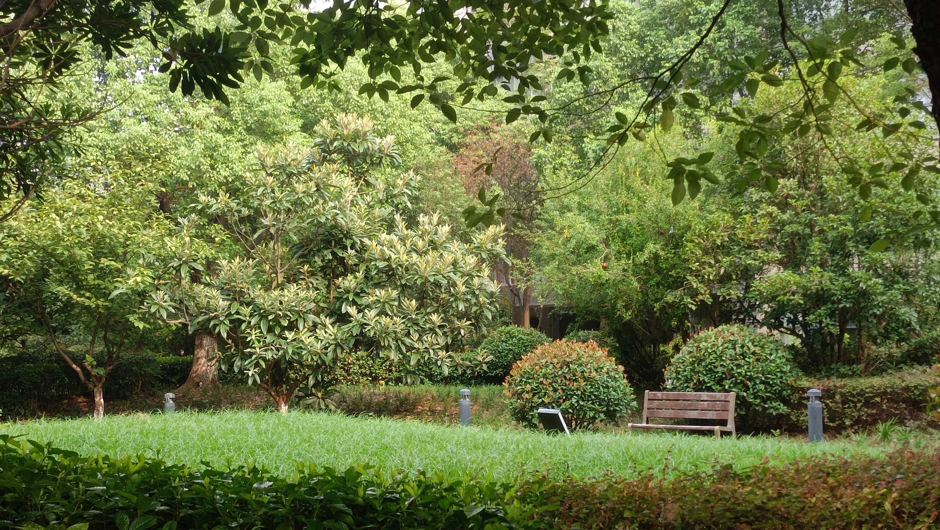 白术肉苁蓉桂枝五味子,阳气不足用肉苁蓉加菟丝子的剂量