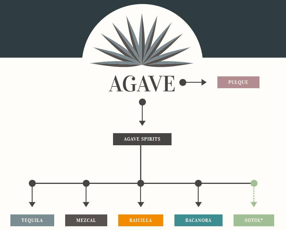 特基拉酒和龙舌兰酒的区别,龙舌兰索特基拉酒