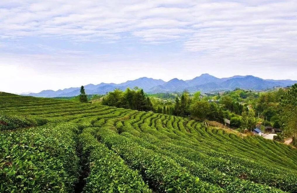 整村运营,整村运营顶层策划