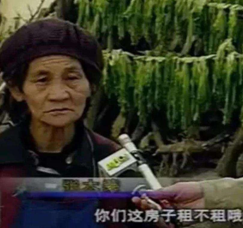 新龙会成员名单,新龙会成员现在怎么样了