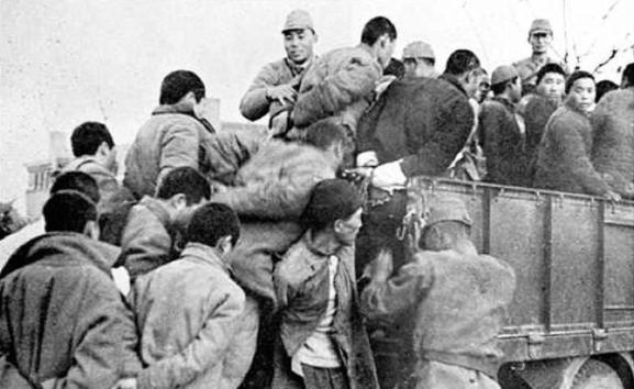 日本山洞发现野人,日本深山发现一个人隐居山洞