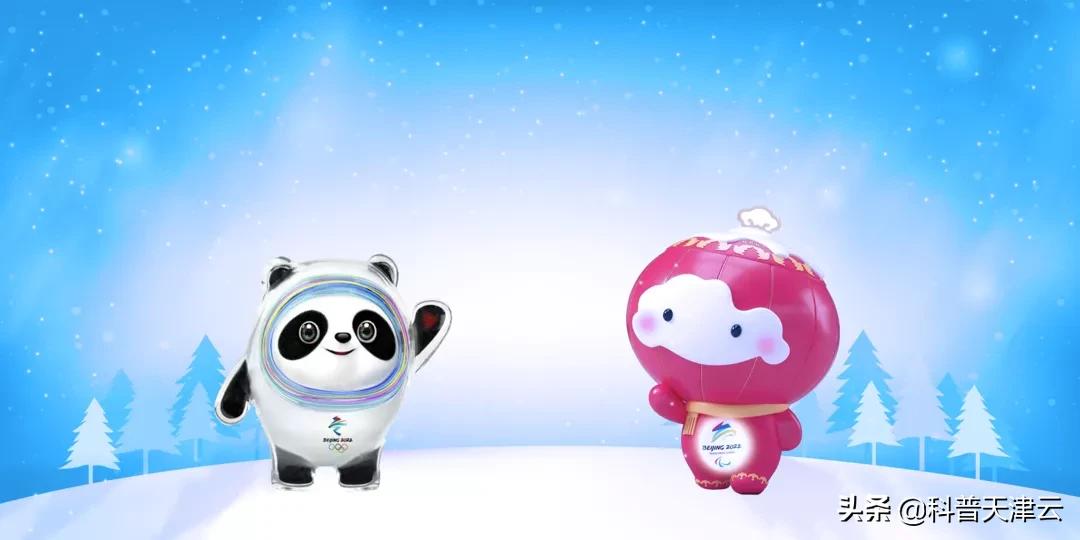 北京冬奥会吉祥物是什么冰墩墩,冰墩墩作为北京2022冬奥会吉祥物