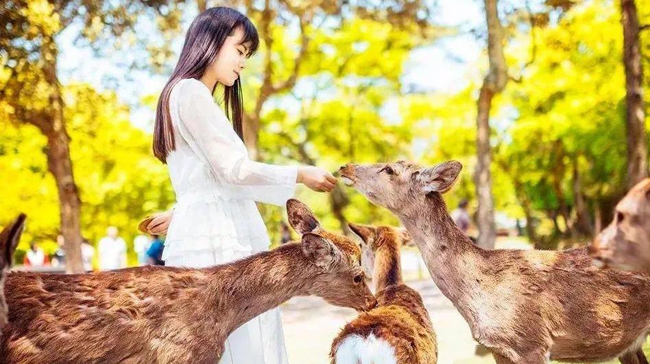 母亲节来打卡|长春电影嘉年华又上新啦！这份攻略请收好→