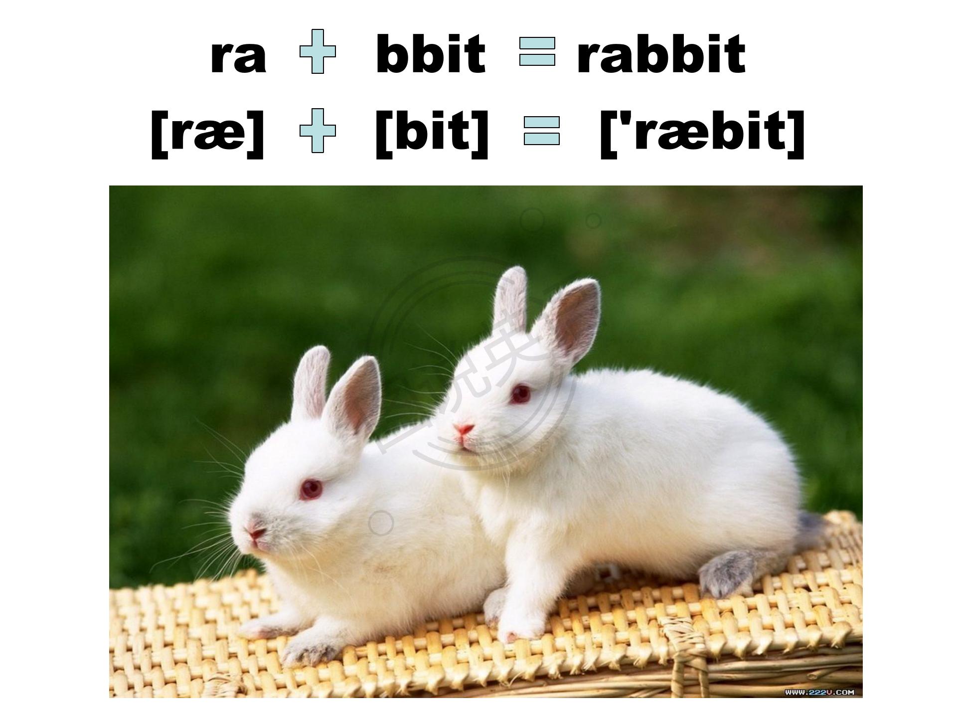 如何快速默写48个国际音标,音标背诵最快的方法