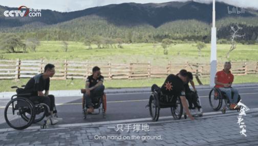 二舅全网刷屏,二舅全网热度