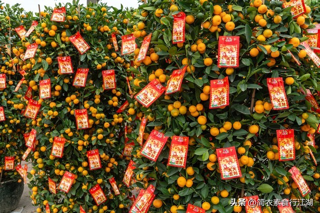 丽芳在豪门做保姆最新一集707,她做保姆这些年之豪门生活175