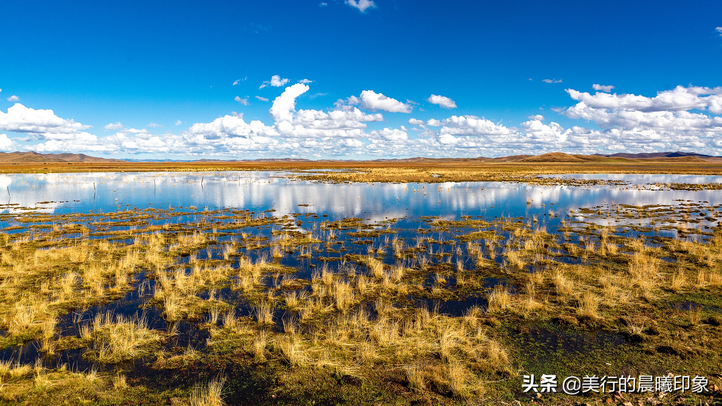 西部自驾三十三天(三十四)——川西高原的绿洲,若尔盖草原