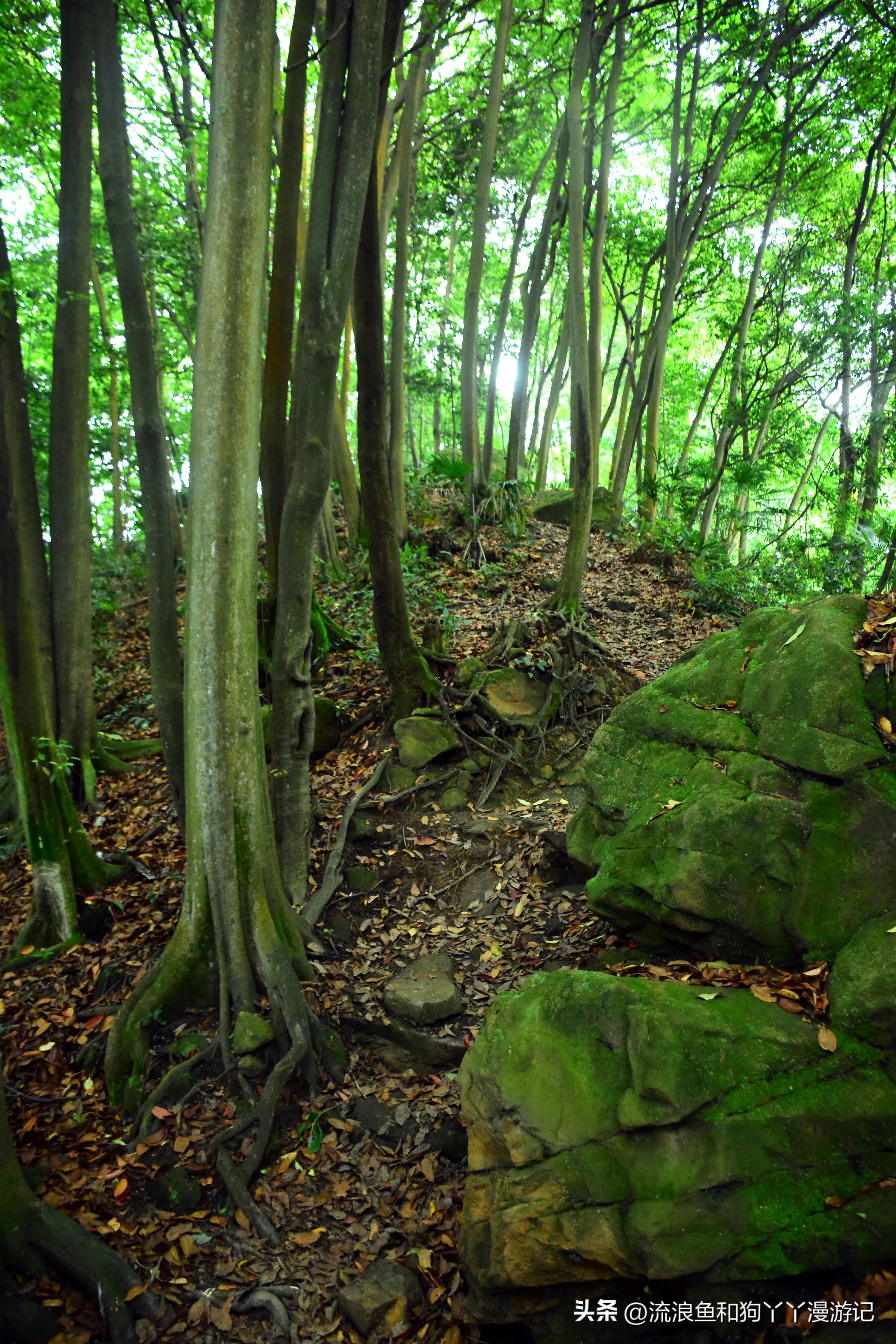四月份成都近郊一日游好去处,2022成都近郊看雪一日游最佳去处