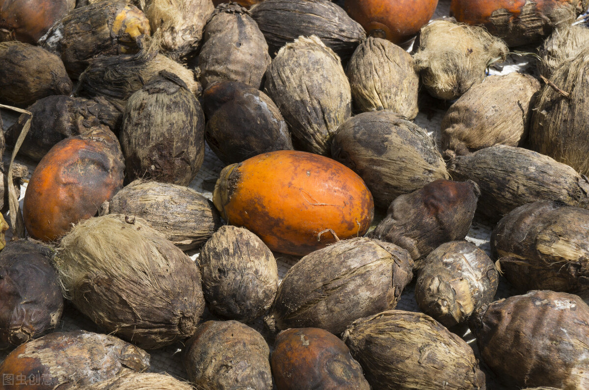 槟榔的危害的近年来数据,槟榔危害到底有多恐怖