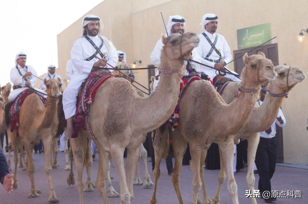 盘点卡塔尔世界杯无效进球,卡塔尔世界杯不能做的事情