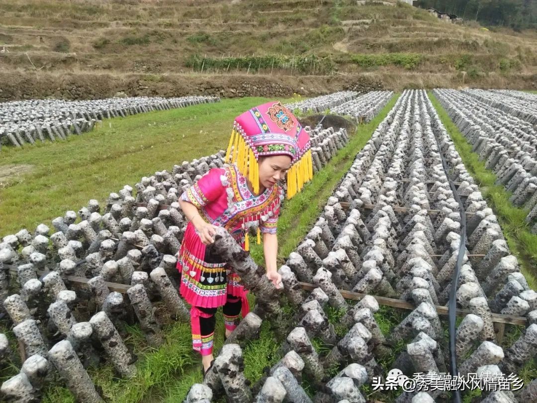 【献礼70周年县庆·人物访谈篇之六十七】莫彩萍：从外地媳妇到村支书带领全村脱贫致富