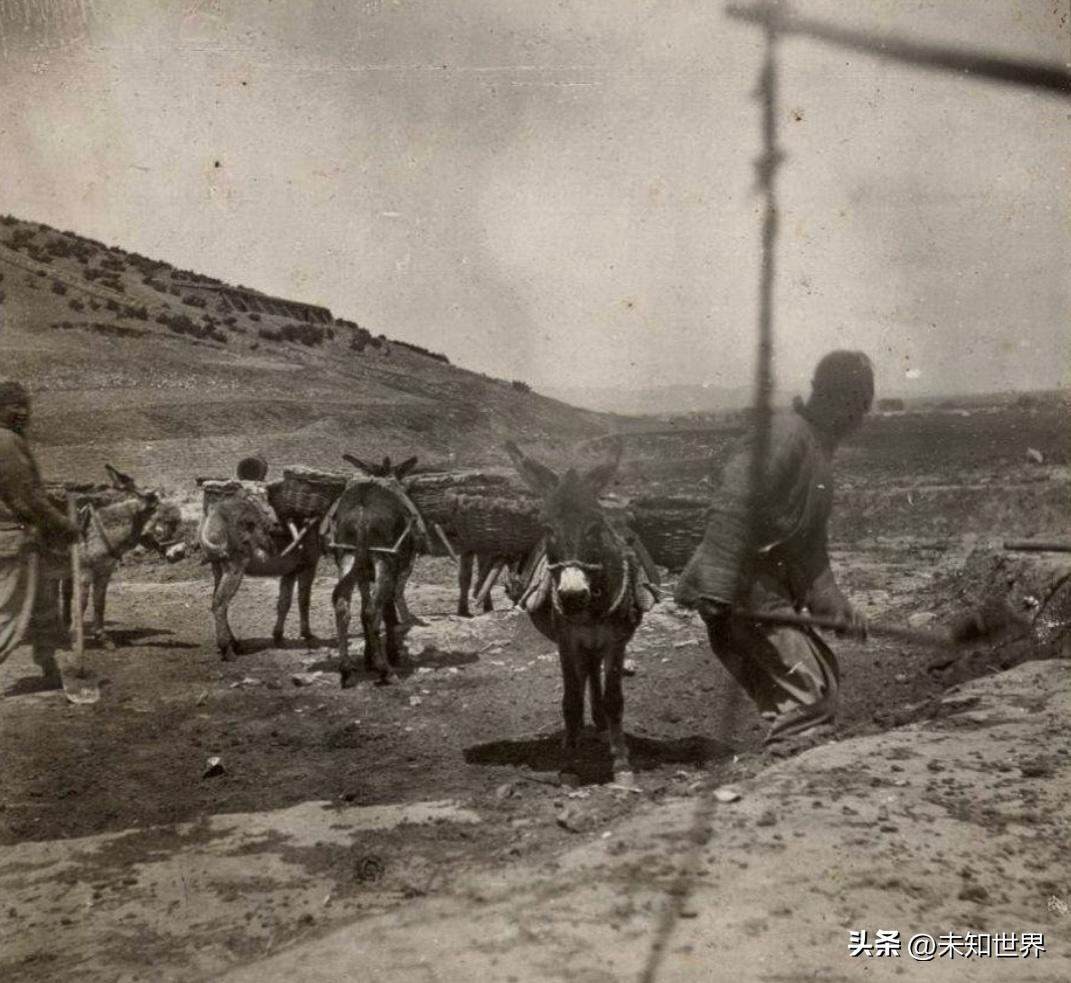 侵华日军暴行真实老照片,日本侵华暴行老照片