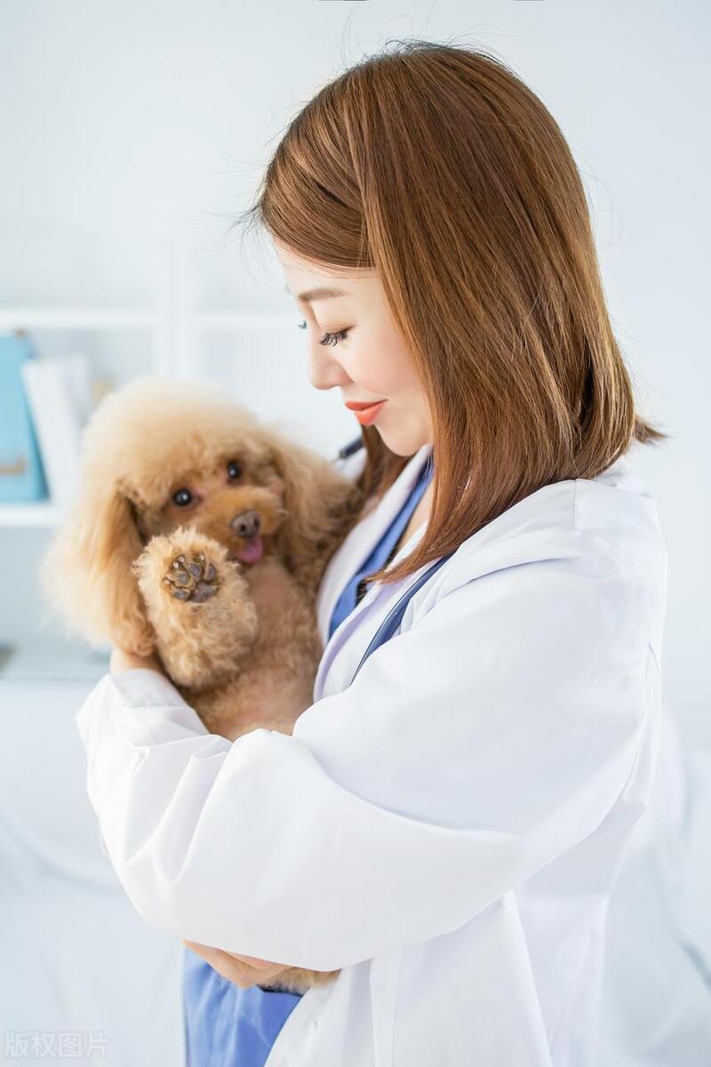 穷人怎么创业致富最快的项目,适合穷人没本钱的创业项目加盟