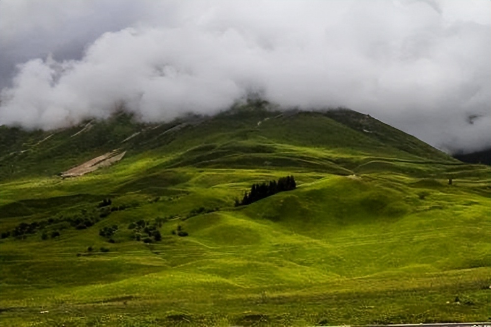 *疆新**为什么不包邮?看完*疆新**有多大就清楚了
