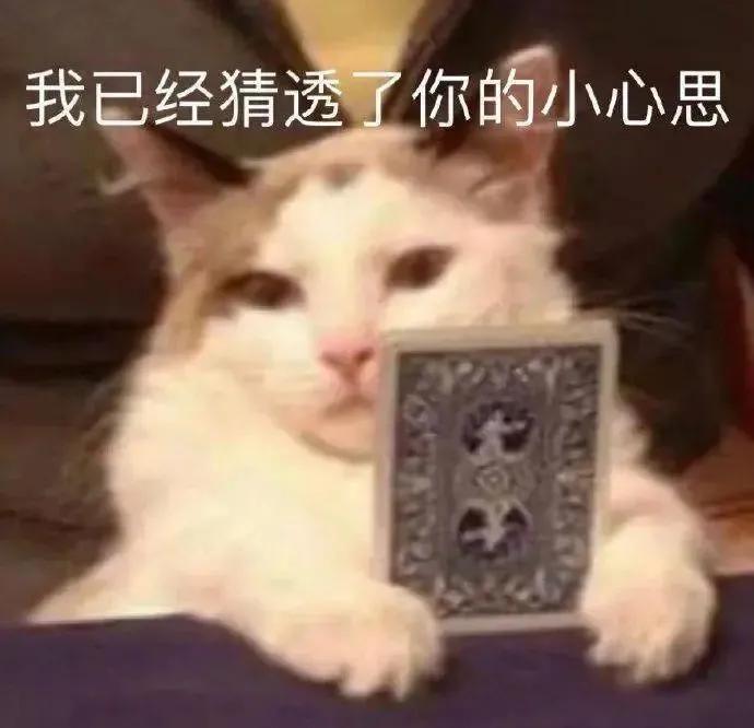 鎴戞潵浜嗚〃鎯呭寘鍙埍鎼炵瑧鍥剧墖,鎴戞潵浜嗘帴浣忚〃鎯呭寘