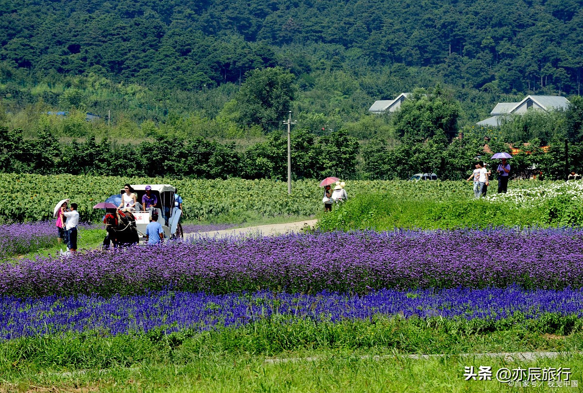 南昌旅游必去十大景点排名最新,南昌周边旅游攻略必去景点
