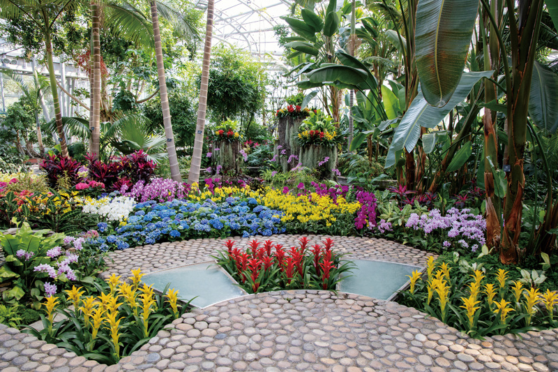 林草答卷,非凡十年的精彩答卷