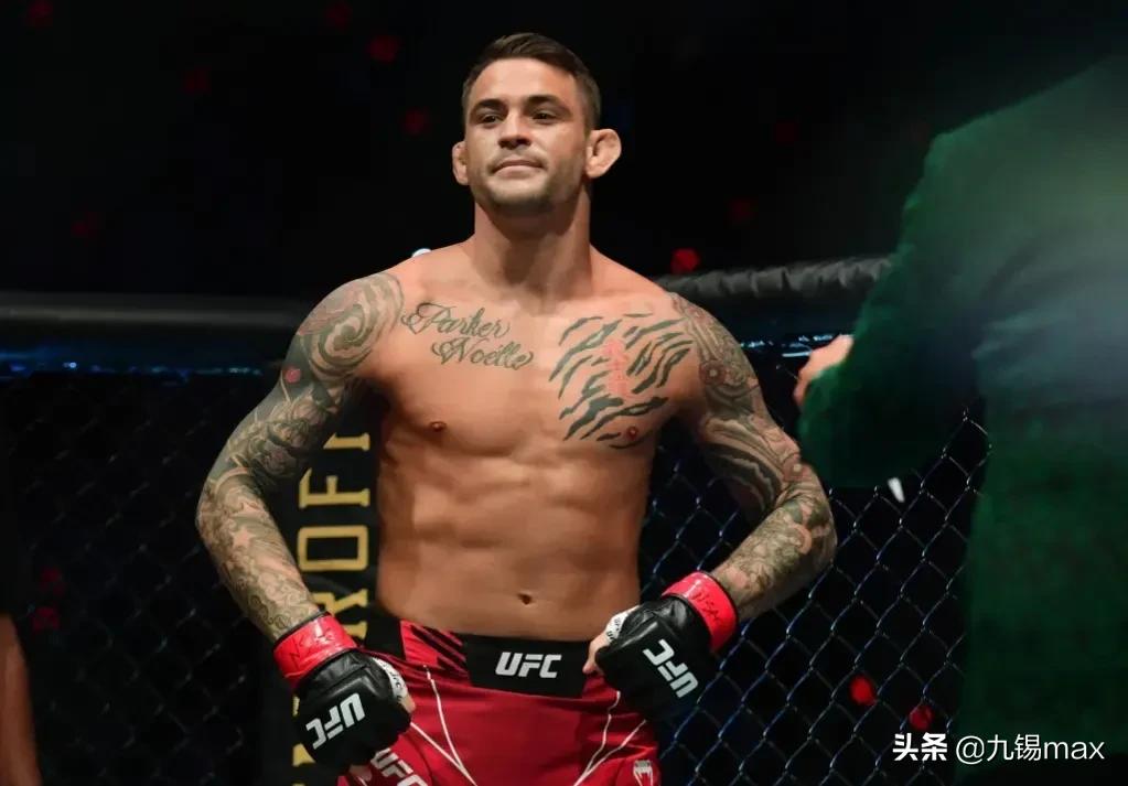 ufc狼王奇马耶夫对阵黑龙,ufc黑龙的最新比赛