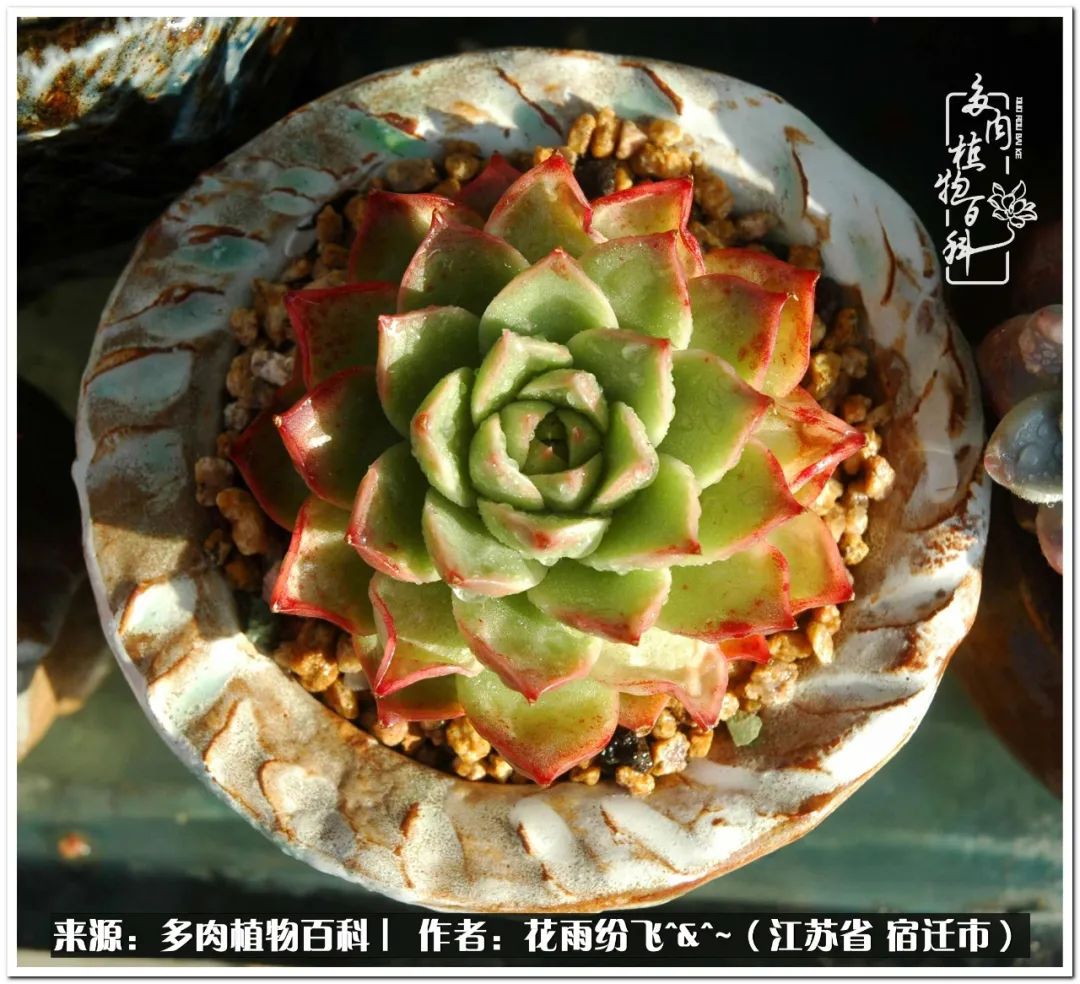 快乐的童年时光视频,回味快乐的童年美好的时光