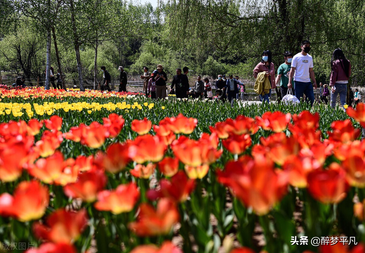 沈阳植物园沈阳世博园,沈阳世博园和植物园区别