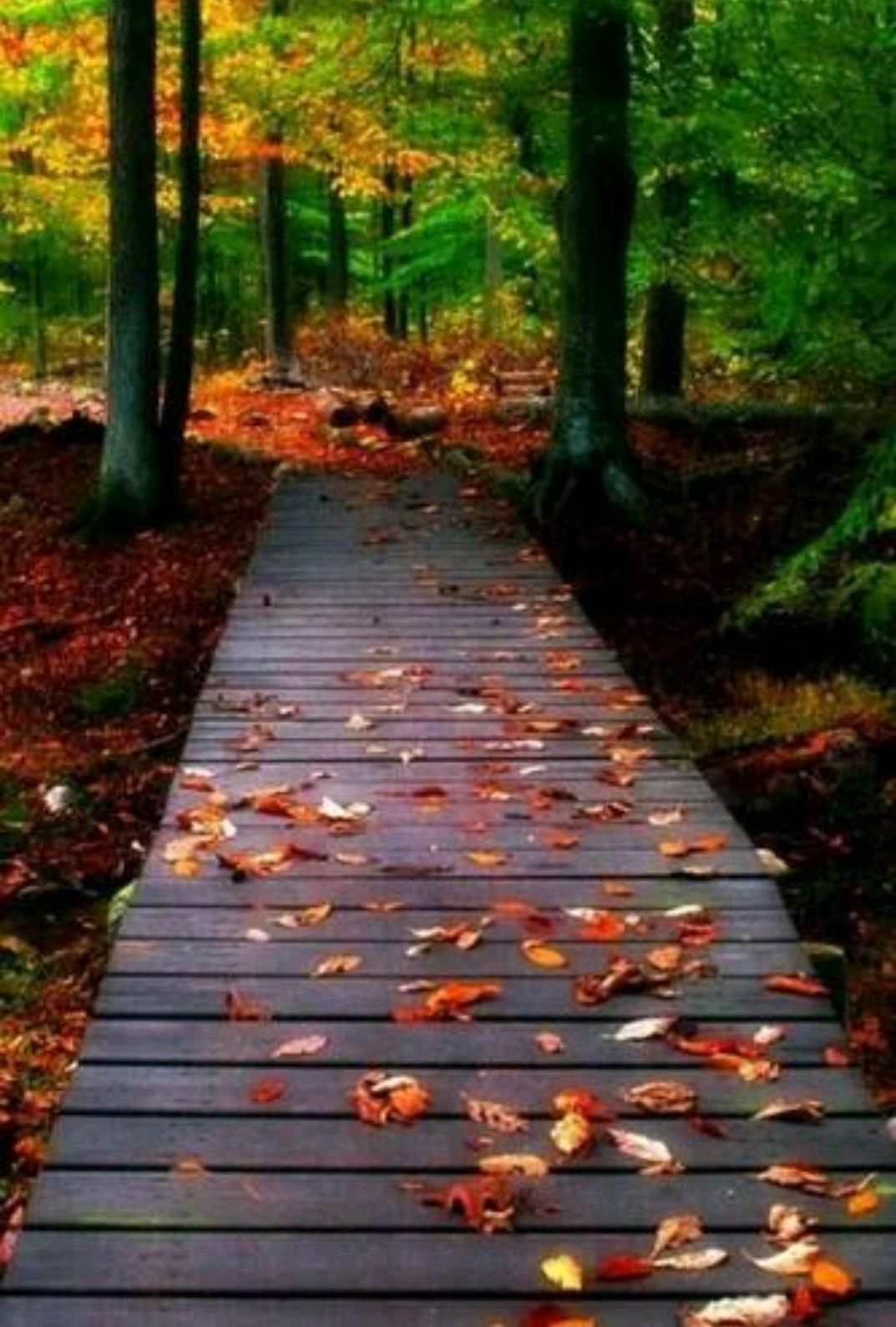 适合一个人安静的散文,散文寻一处心灵的静谧