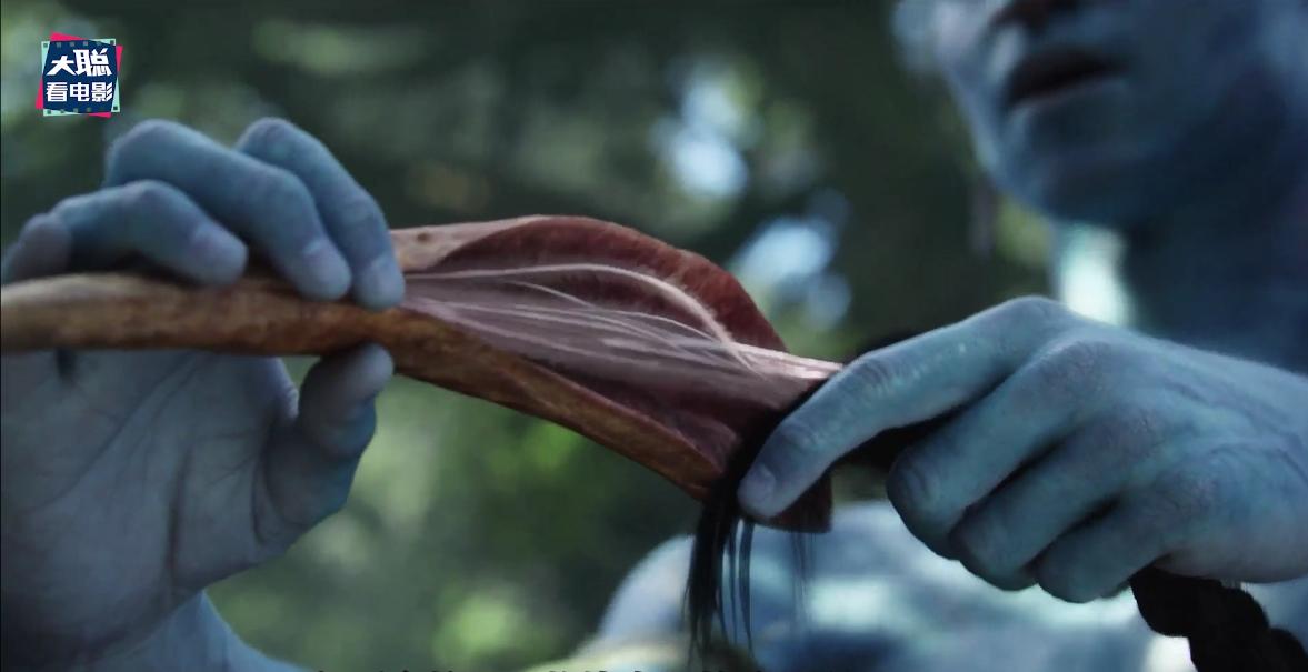 阿凡达2曝光全新中文海报及预告,外网曝阿凡达2预告