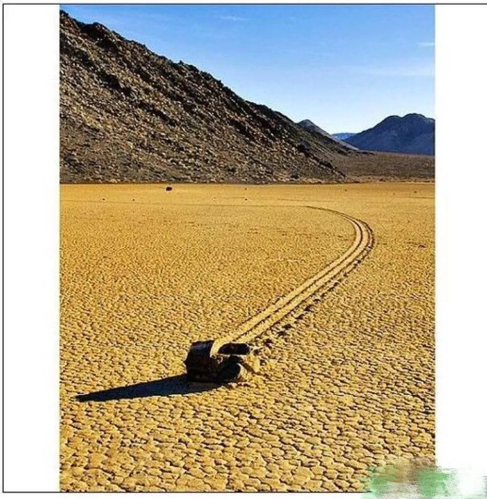 世界奇闻大搜罗,带你看遍全球各种奇闻异事