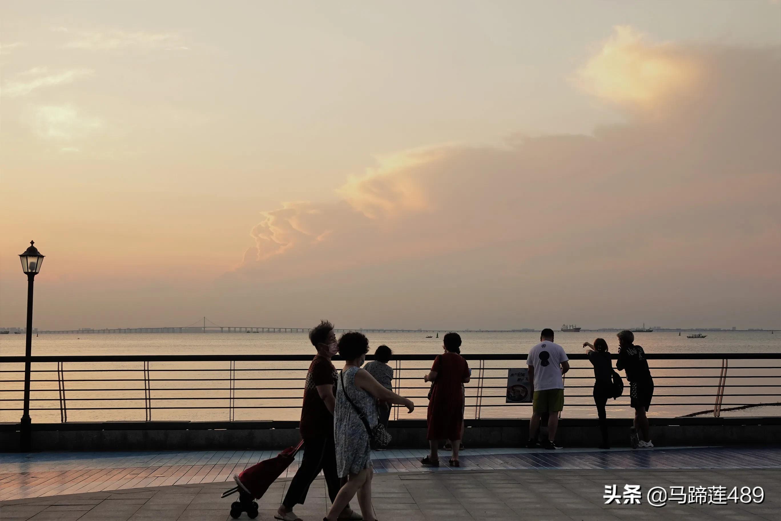 青岛金茂湾,青岛金茂湾地址