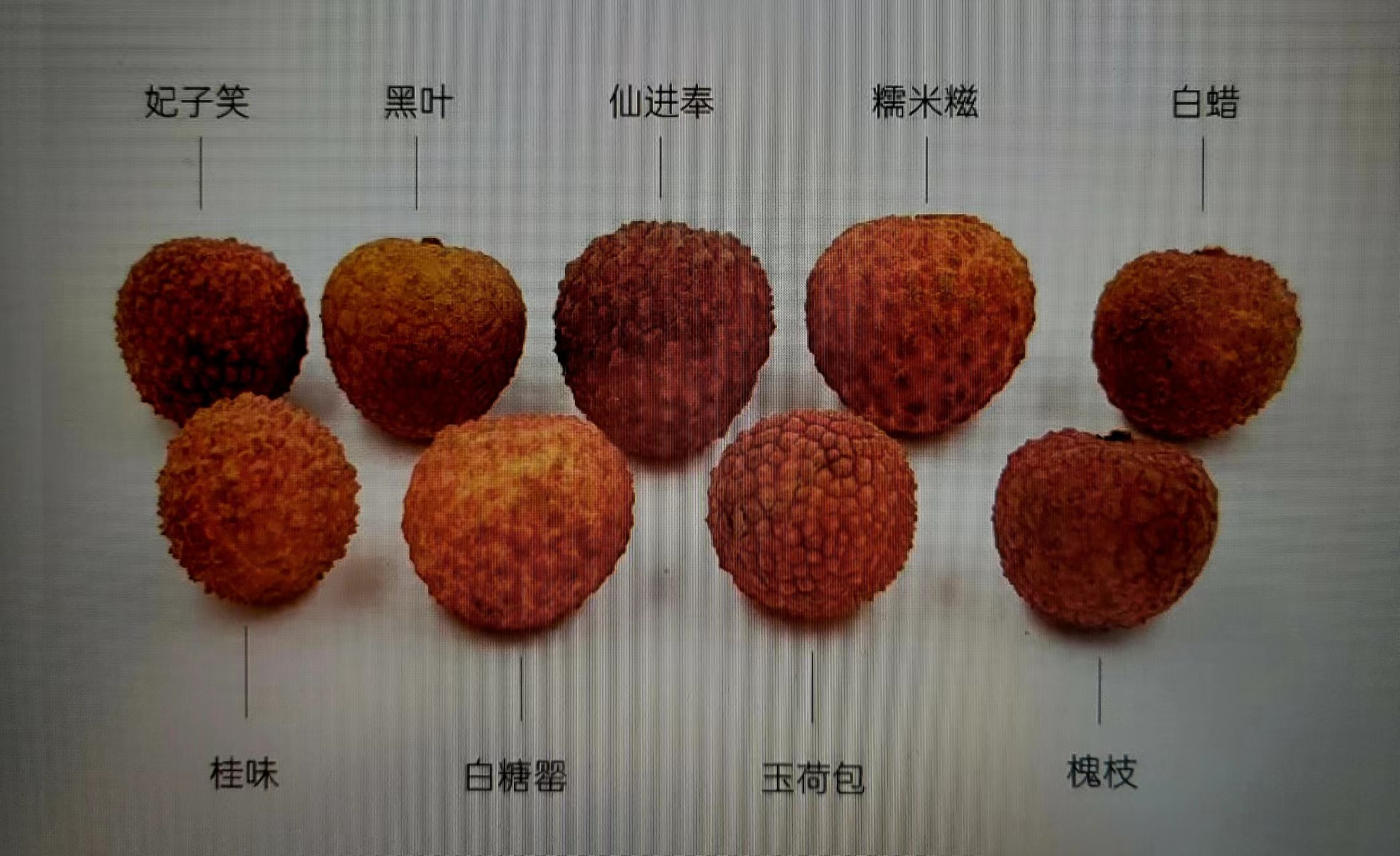 周末邀朋友小聚休闲享受周末,周末三五好友小聚喝茶品美味