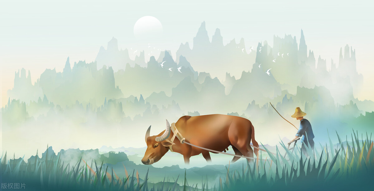 什么样的人适合炒股赚钱,炒股赚钱的人智商高吗