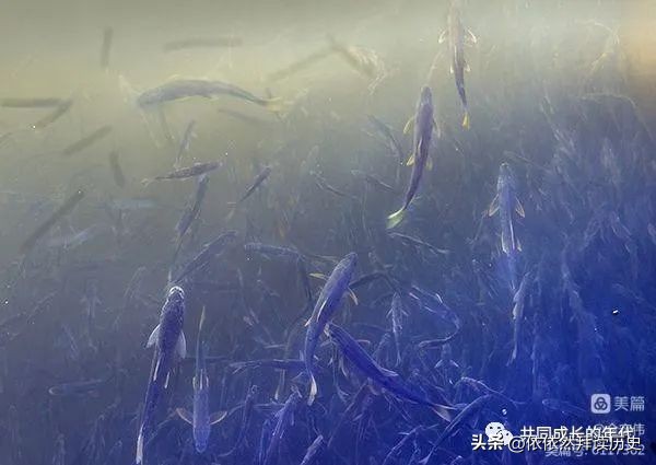 解放军摄影作品图片,八一军旅摄影作品高清