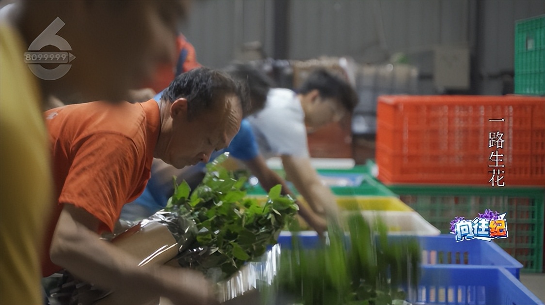 盘点人们都向往的工作,向往的工作和现实的工作