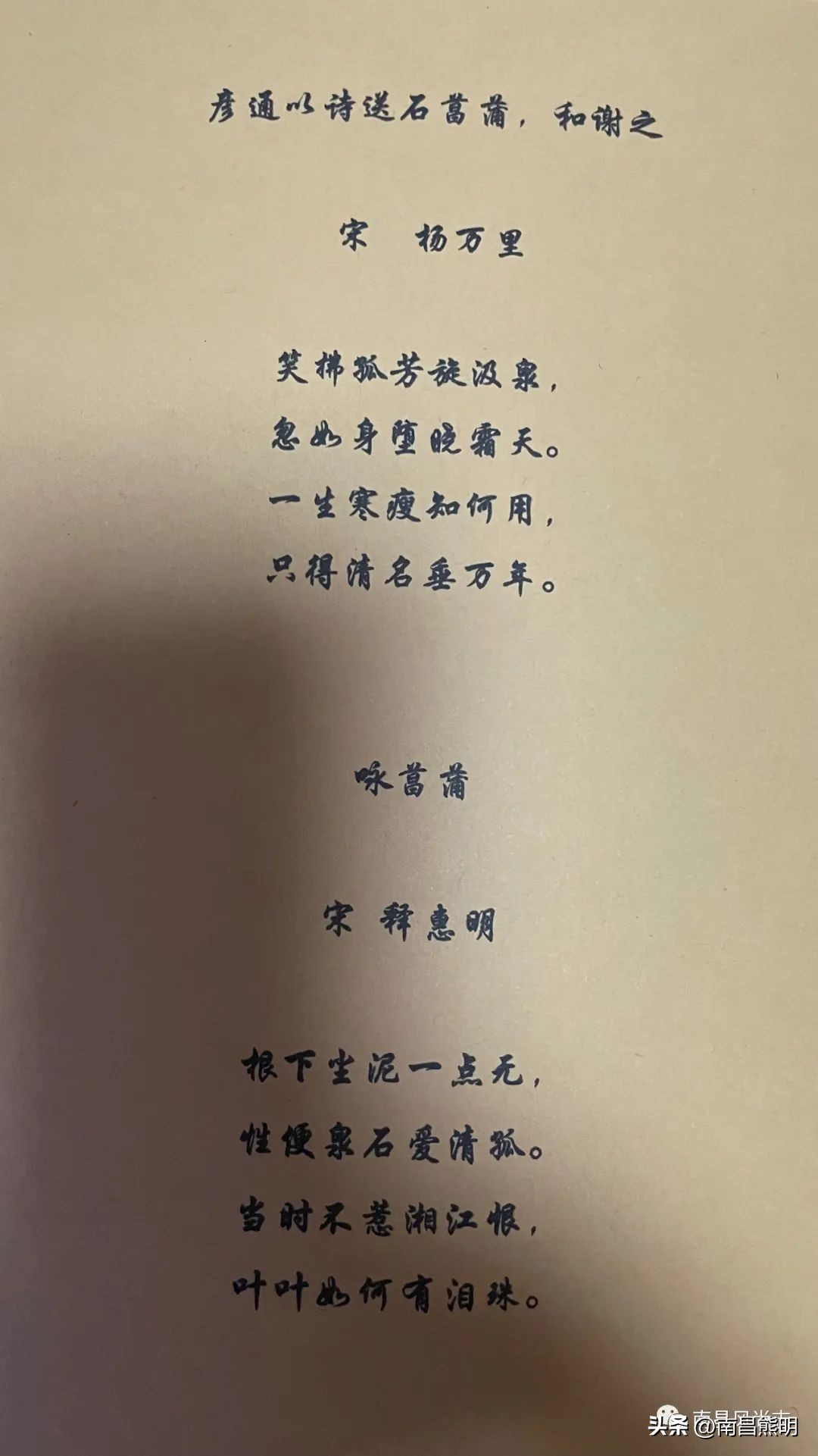 鍏竴鍎跨鑺傚叞鑺辫崏,鍏竴鍎跨鑺傜尓绗艰崏