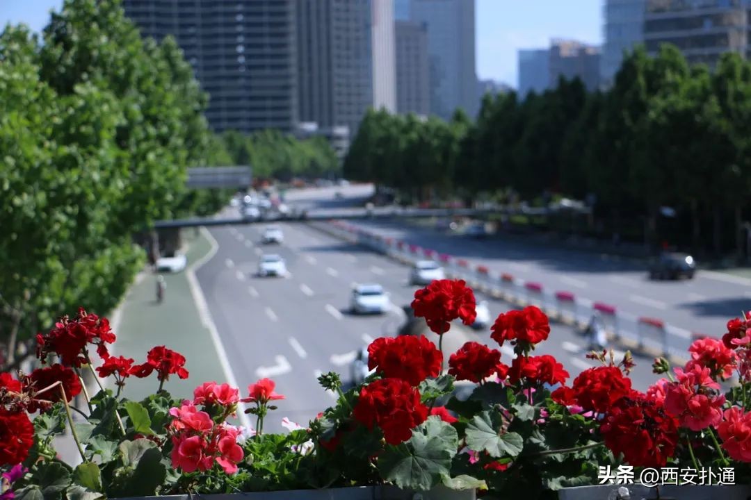 西安网约车哪些地方堵不能去,西安网约车危险吗