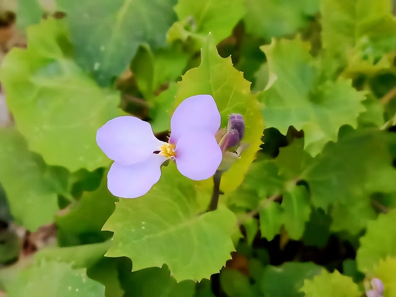 暧昧后说做朋友的都是烂人,和暧昧过的人不可以再联系