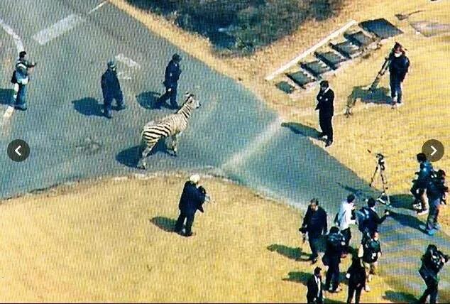 建业有可能退市吗,建业会不会倒下