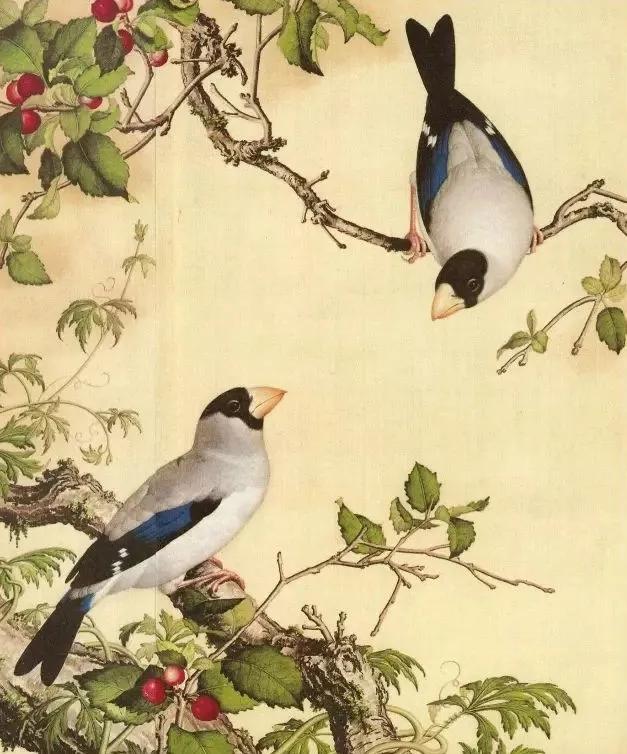 清代九大名家花鸟册页欣赏,清朝九大名家花鸟山水图