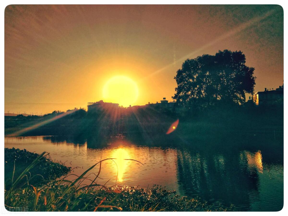 1个专业A++，6个专业A+，校友会2023河北科技师范学院专业排名