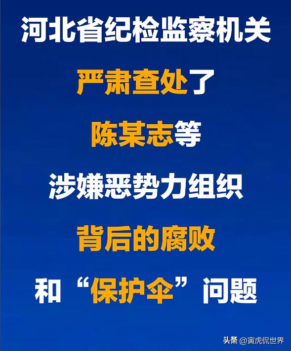黑恶势力和保护伞，是最邪恶的破坏力最强的孪生兄弟