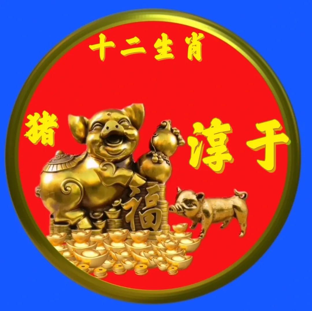 12生肖猪的姓氏头像,十二生肖猪姓氏头像壁纸