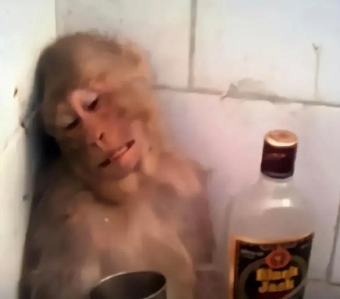 你见过哪些搞笑的视频,你看到过哪些有意思的头像