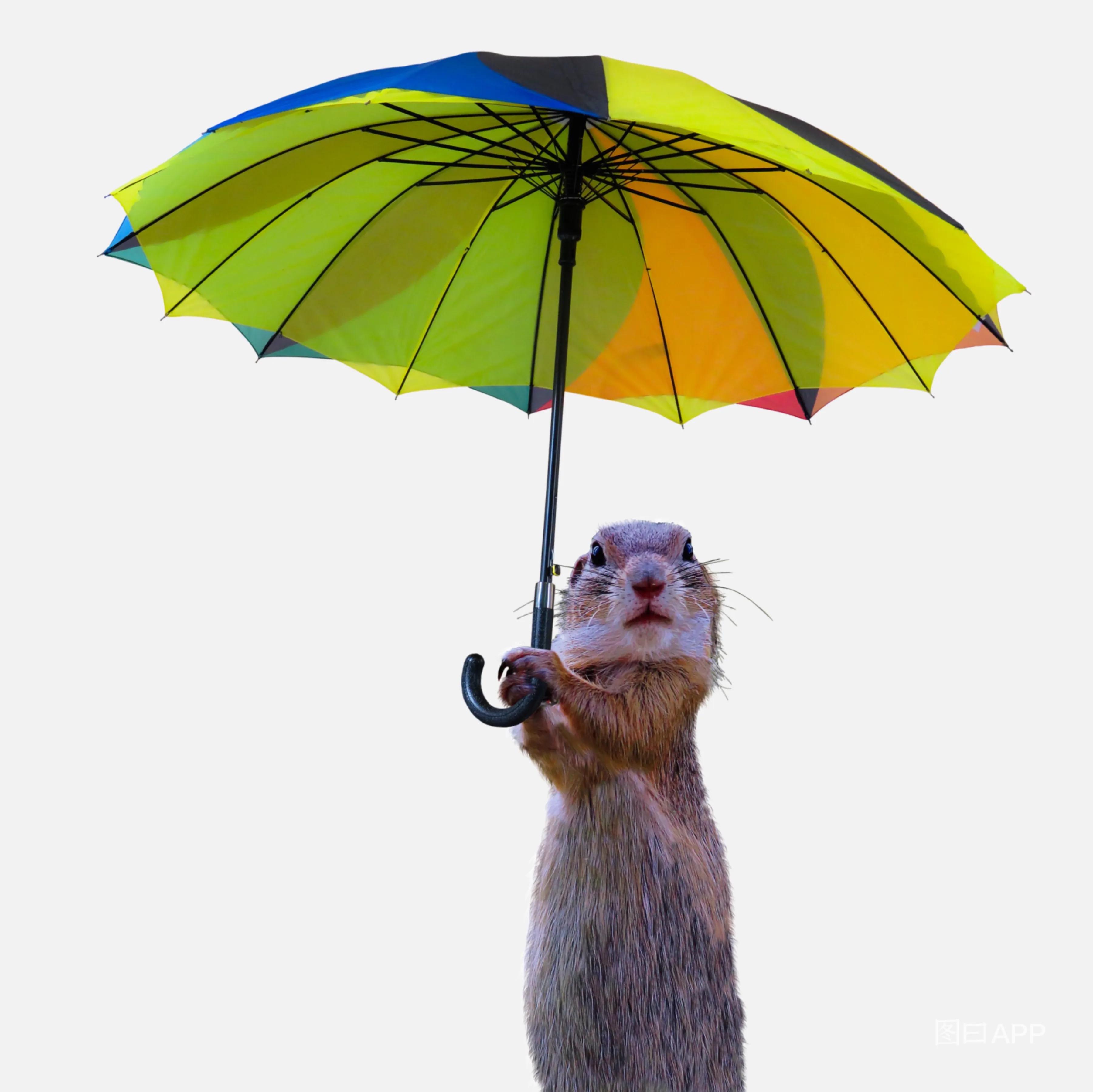 你了解夫妻之间的亲密关系吗