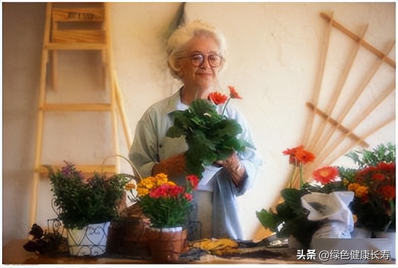 园艺疗法的主要对象,园艺治疗师前景